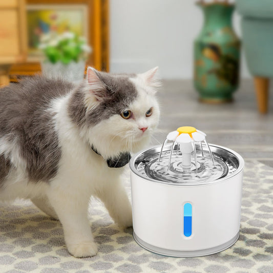 Cat Water Fountain