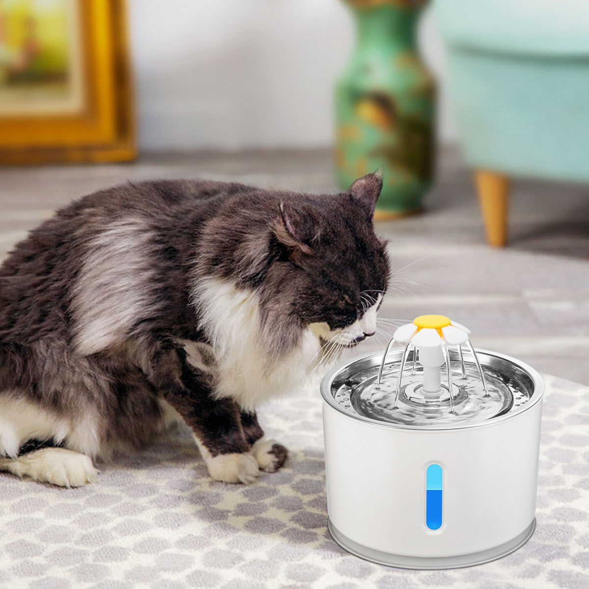 Cat Water Fountain