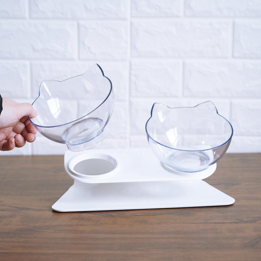 Raised Double Pet Bowl