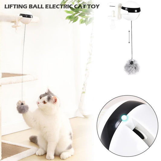 Motion Ball For Pets