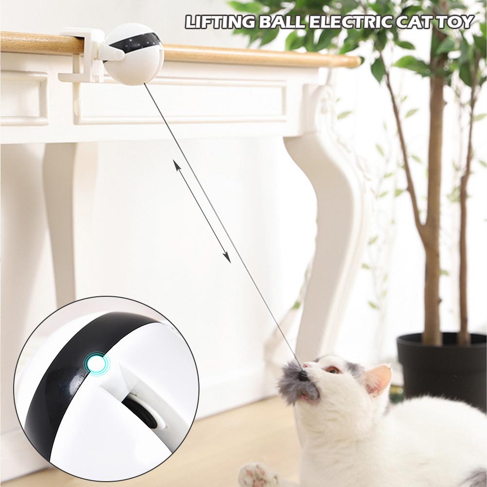 Motion Ball For Pets