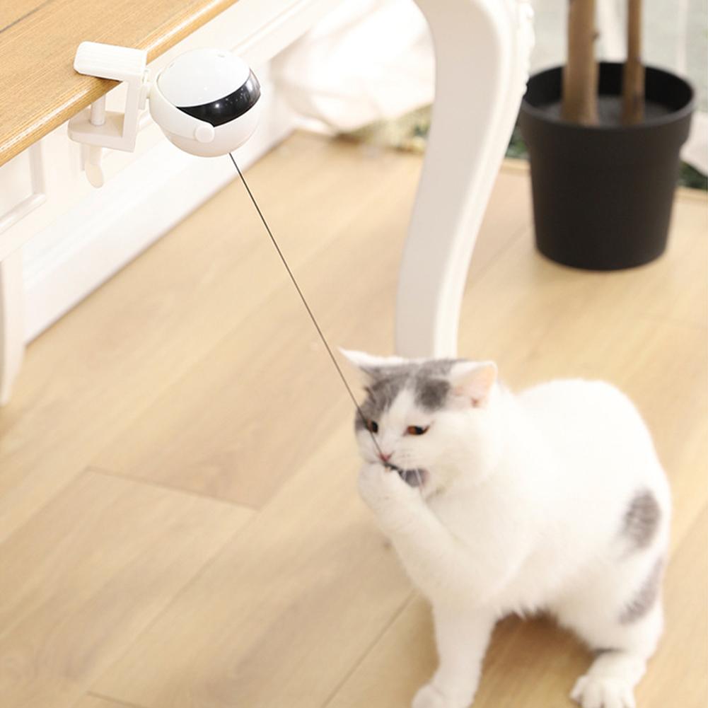 Motion Ball For Pets