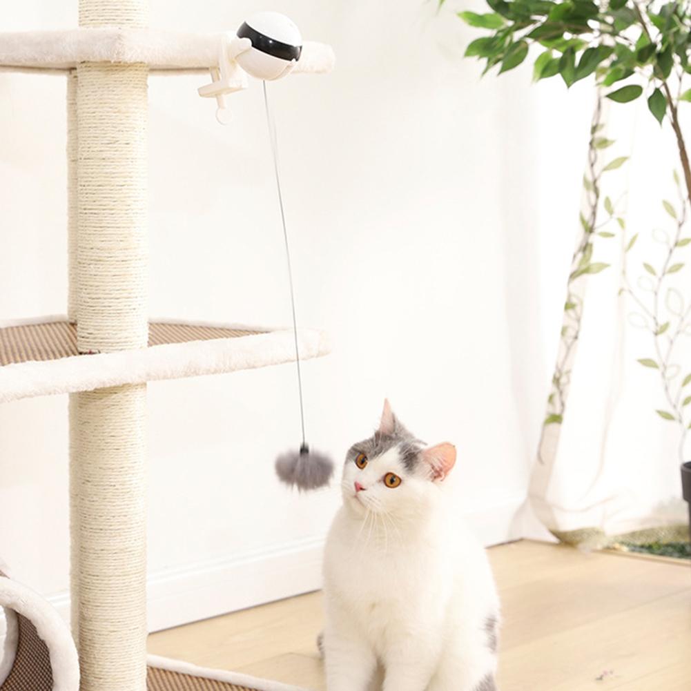 Motion Ball For Pets