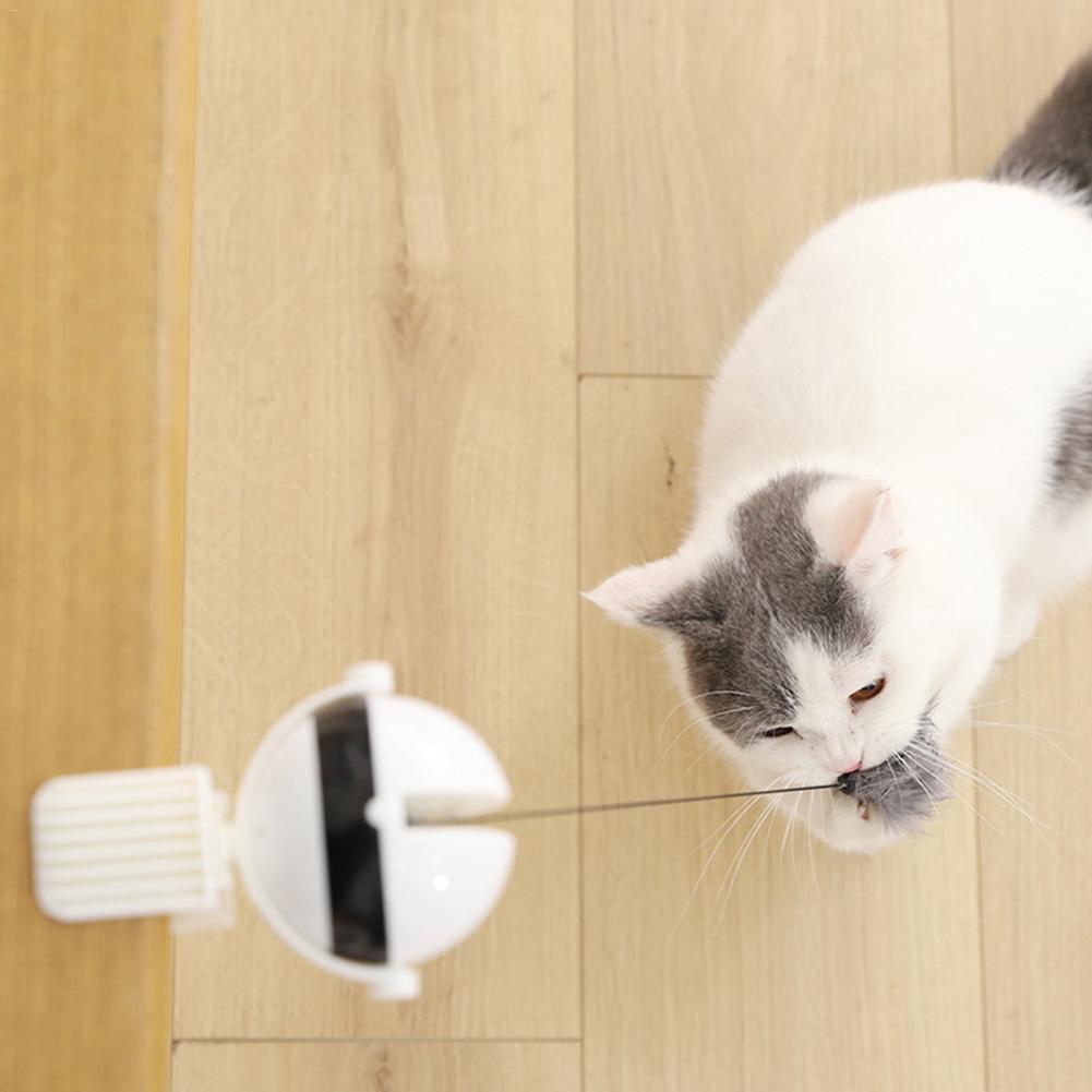 Motion Ball For Pets