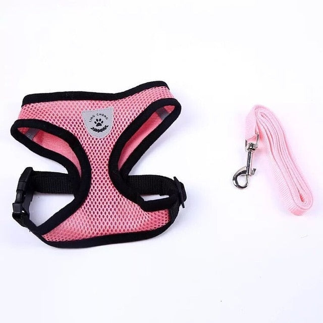 Kitten Harness and Leash Set for Cats