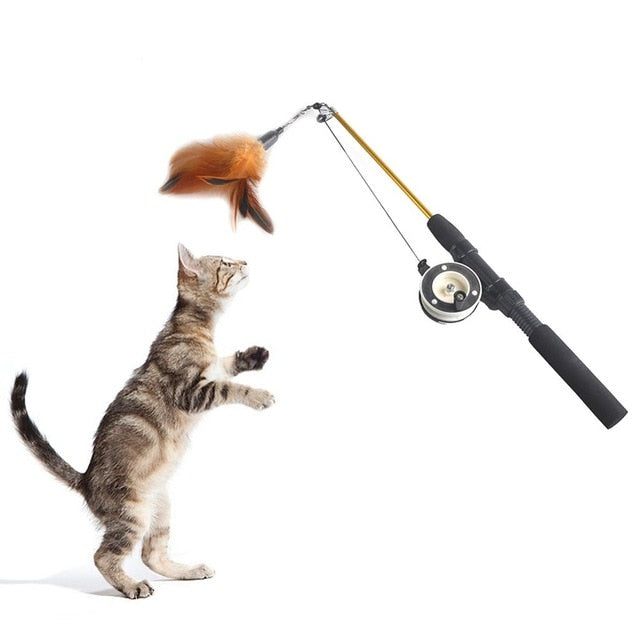Motion Ball For Pets