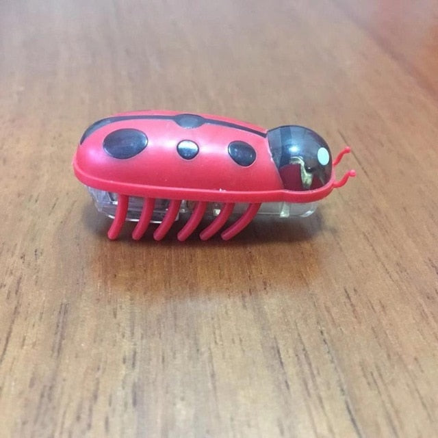 Amazing Robot Bug Toy For Cats
