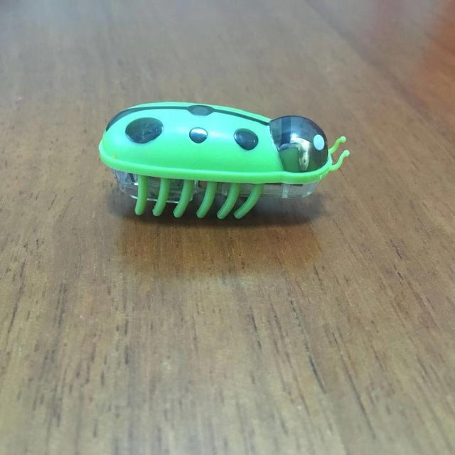 Amazing Robot Bug Toy For Cats