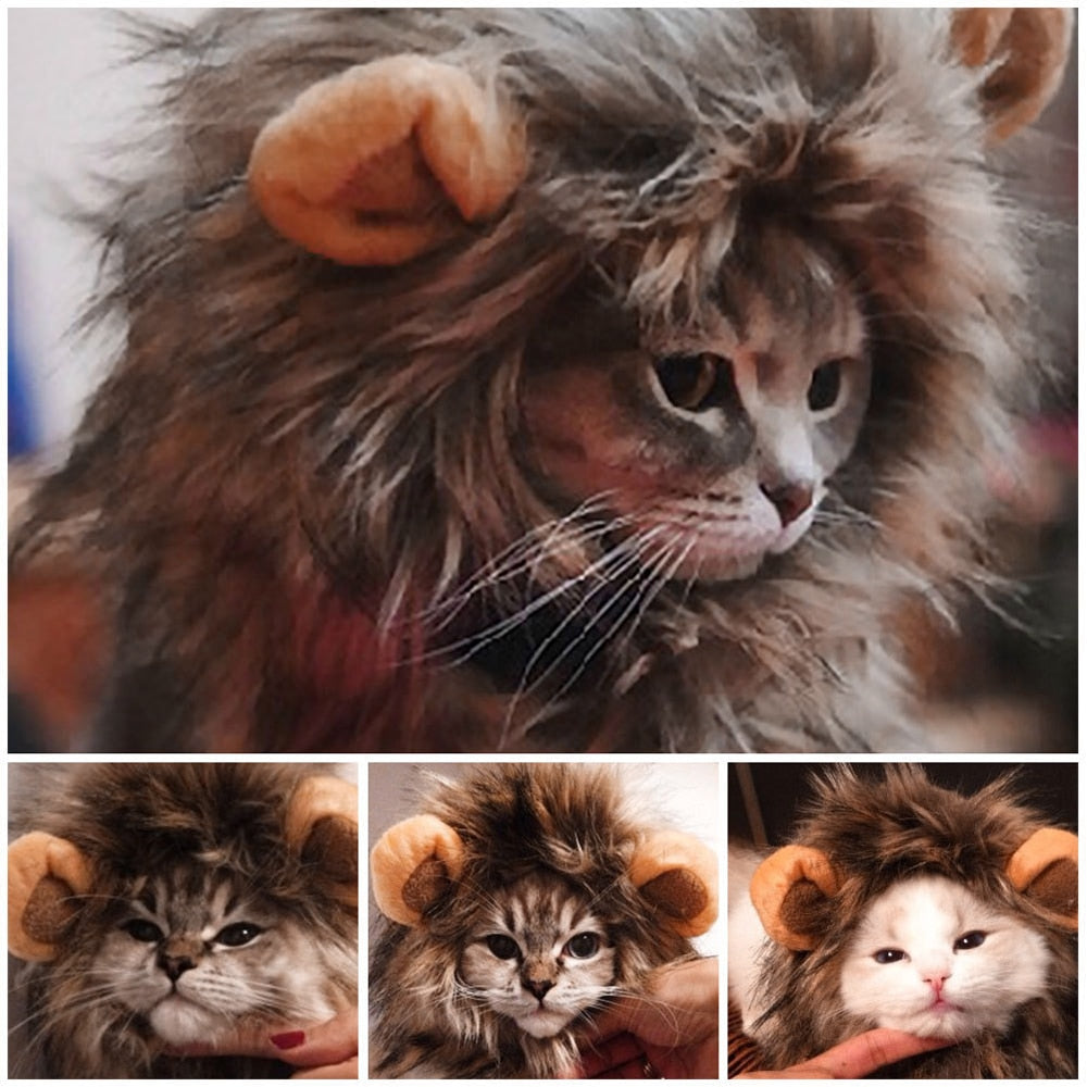 Funny Cute Pet Cat Costume Lion