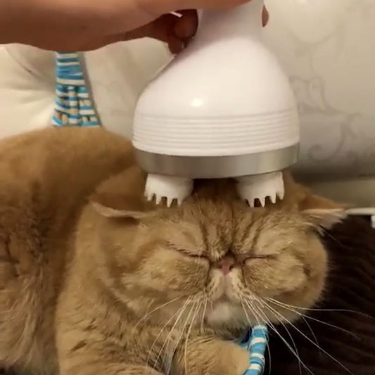 Cat Massager