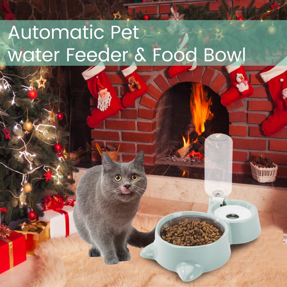 cats Water and Food Set
