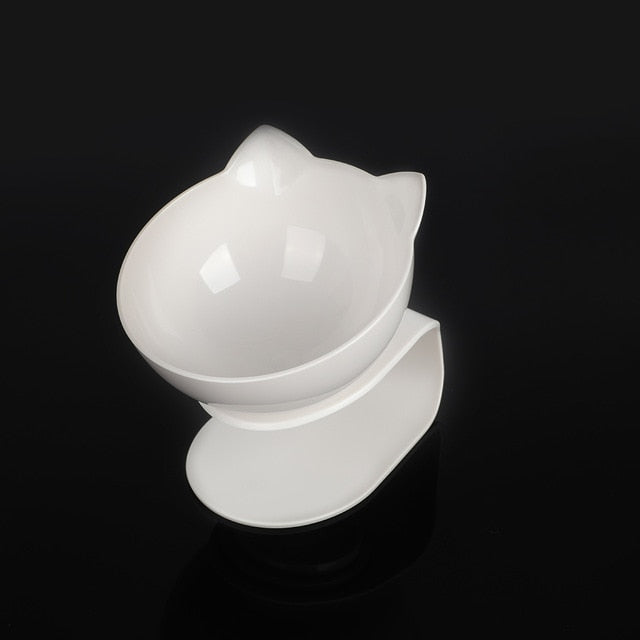 Raised Double Pet Bowl