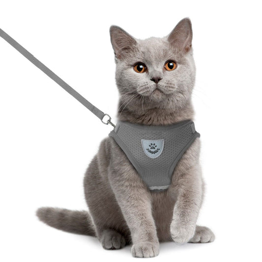Kitten Harness and Leash Set for Cats