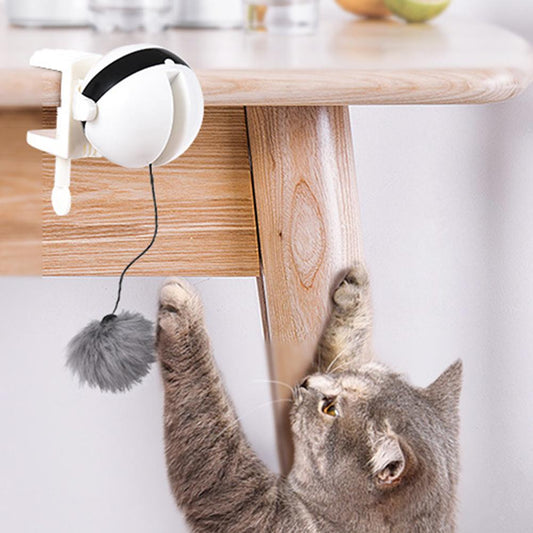 Motion Ball For Pets