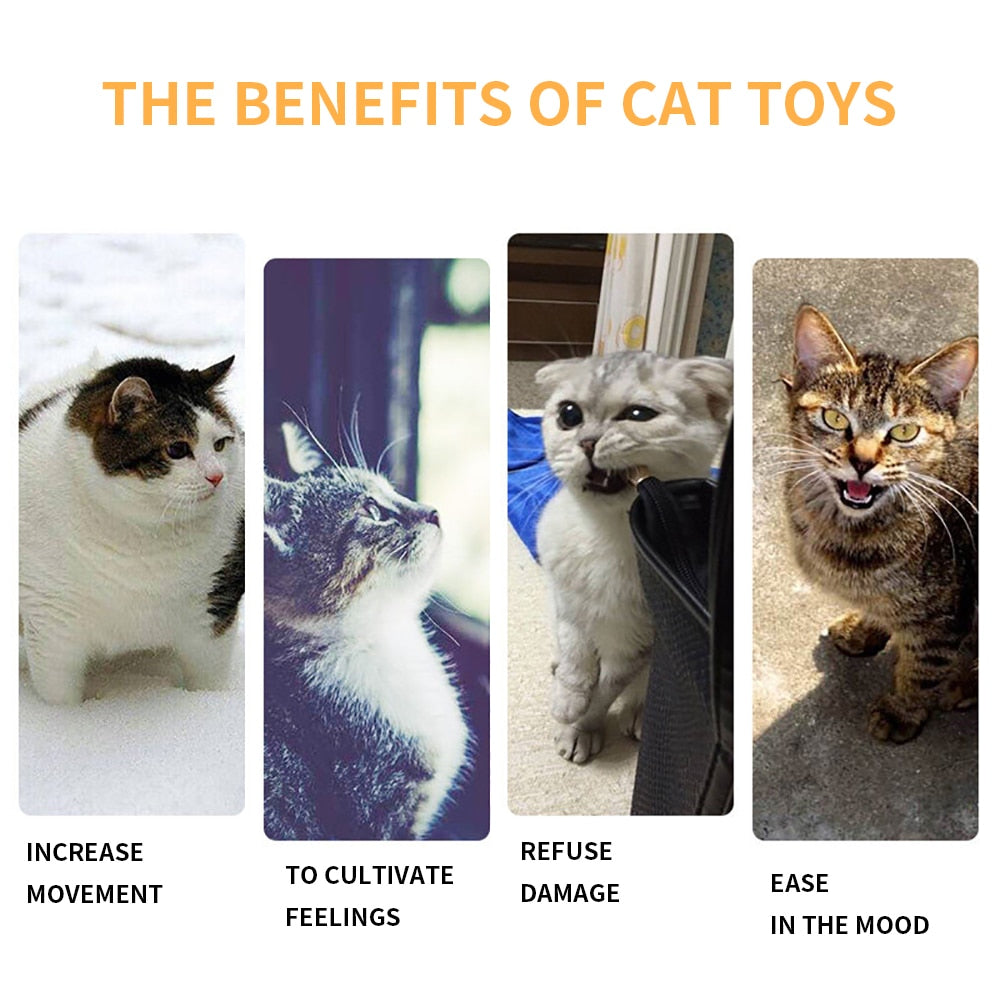 WINDOW MOUNTED TRACK BALL TOY FOR CATS