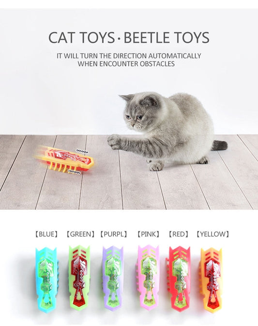Amazing Robot Bug Toy For Cats